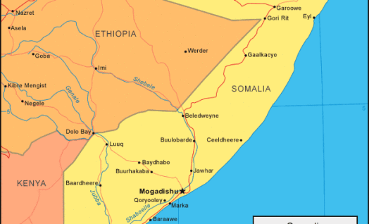 Soomaaliya Oo Ka Baxday Shir Madaxeedka Carabta Iyo Afrika