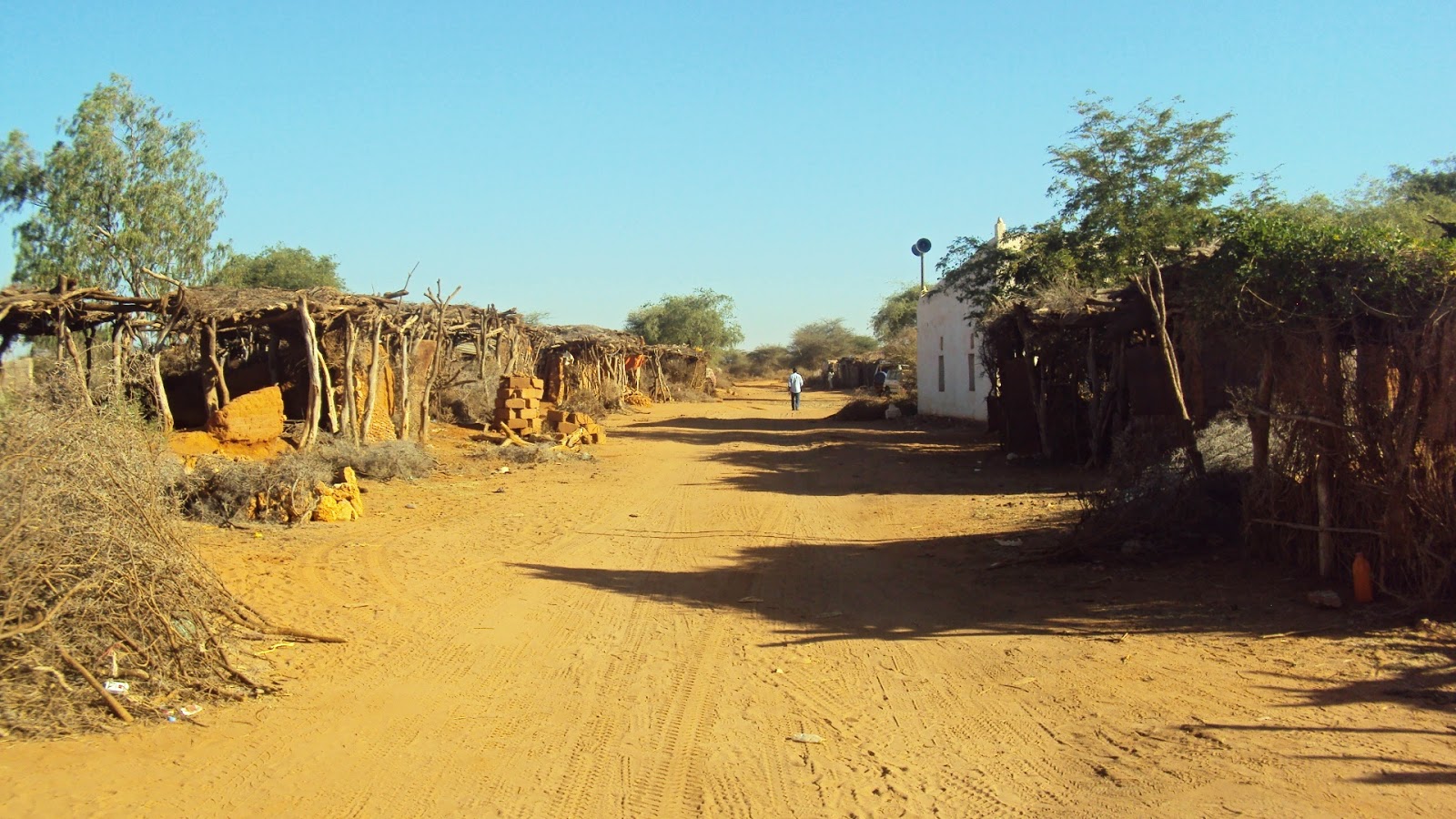 Shacabka Deegaanka Ceelguulla Ee Mudug Oo Ka Cabanaya Cayayaan Halis Ku Ah Naftooda