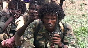 ONLF: Itoobiya Damac Badan Baa Uga Jira Qeyraadka Soomaaliya