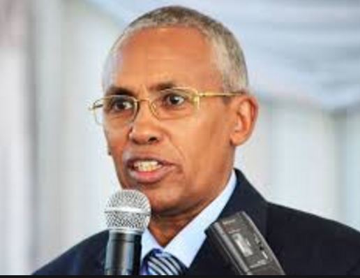 Dhageyso: Somaliland Oo Sheegtay In DFS Aanu Shaqo Ku Lahayn Ka Hadalka Dekadda Berbera