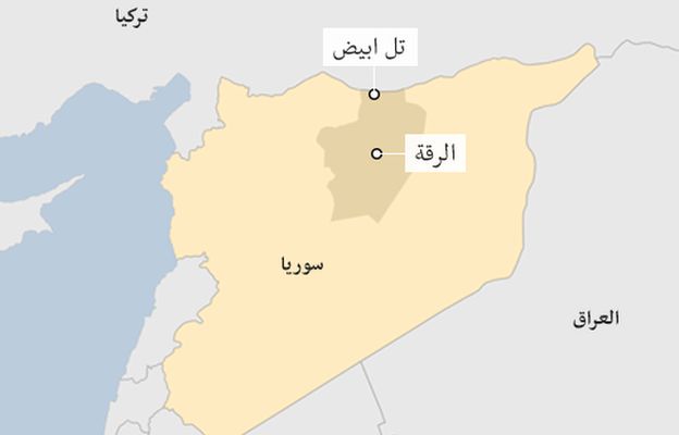 42 Qof Oo Ku Dhintey Duqeymo Ka Dhacay Siiriya