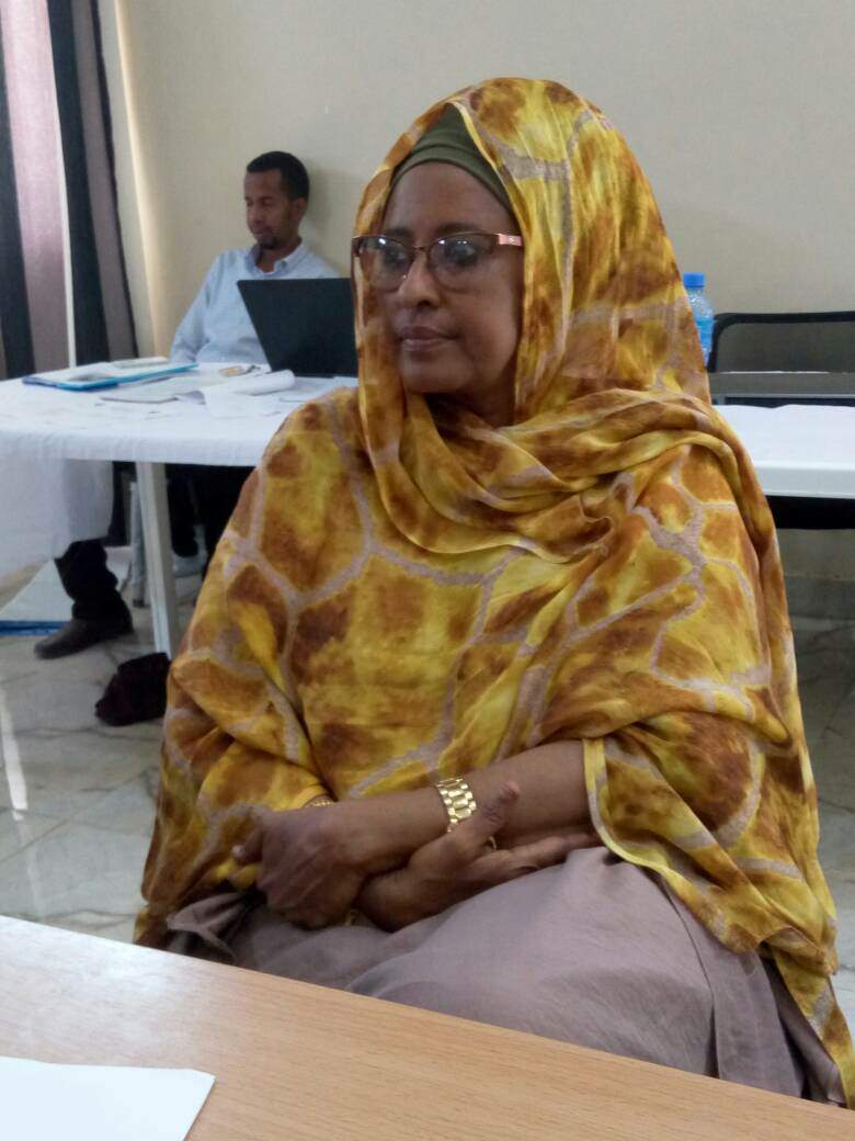 Jubbaland: Xaliimo Yarey Oo Bilowday Wada-tashi iyo Wacyi-gelin Ku Aadan Doorashada 2021