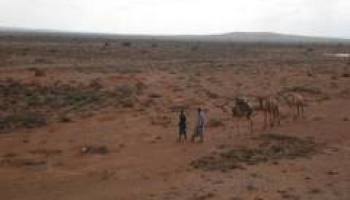Puntland: Dad Ku Dhintay Dagaal Ka Dhashay Ceel-biyood