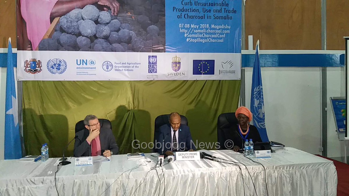 FAO: Soomaaliya, 7-badii Sano Ee Lasoo Dhaafay ilbiriqsi Kasta Waxaa La Jarayey Hal Geed