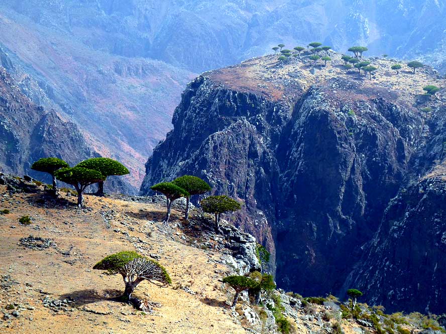 Imaaraadka Oo Si Xoog Ah Saldhig Militari Uga Sameystay Jaziiradda U Dhaw Soomaaliya ee Socotra