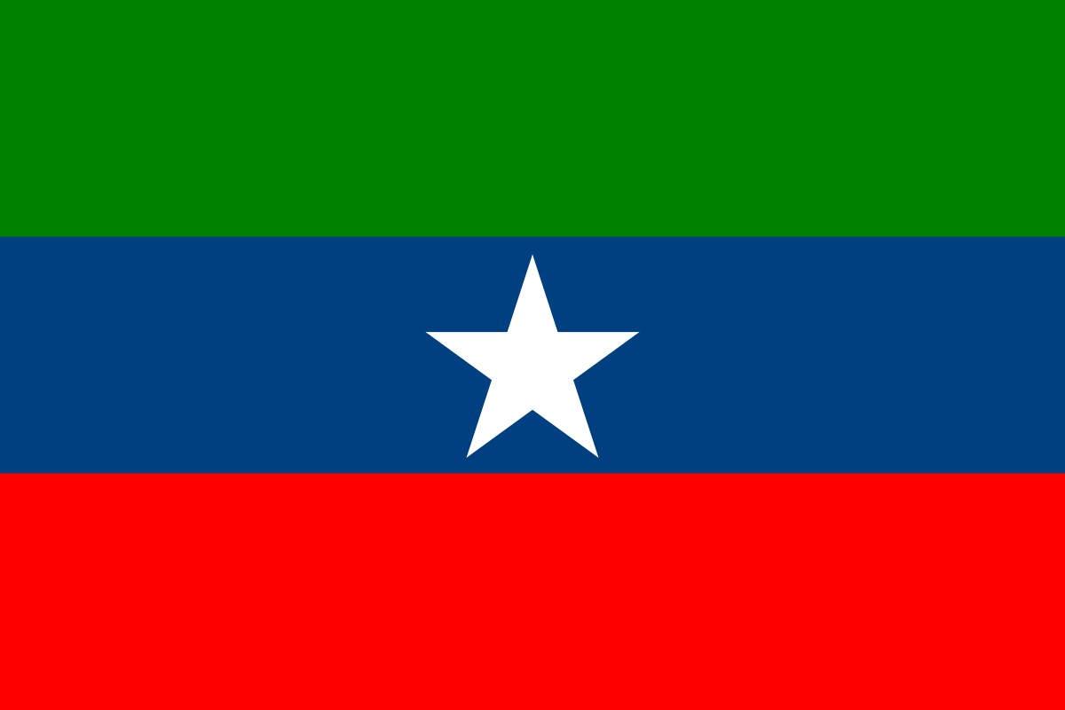 Madaxda ONLF Oo Maanta Ku Wajahan Magaalada Jigjiga