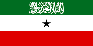 Somaliland: Dacwad Heer Caalami Ah Ayaan La Tiigsan Doonaa General Guulwade .