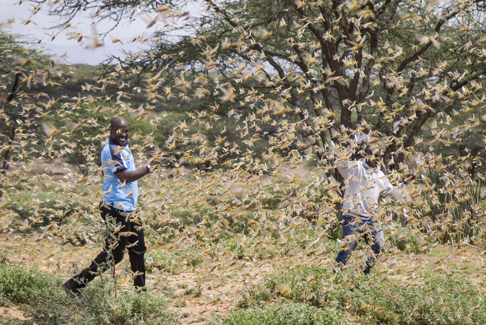 Qaramada Midoobay oo Ka Digtay Ayax kale oo ka Dillaaca Soomaaliya