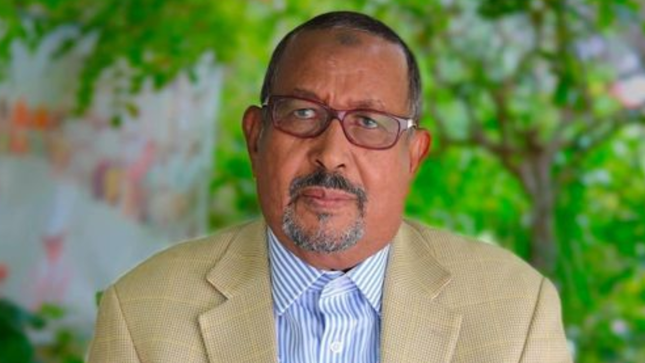 Madaxweyne Xasan Shiikh oo Magacaabay Lataliyaha Dimuquraadiyadda iyo Dowlad Wanaaga
